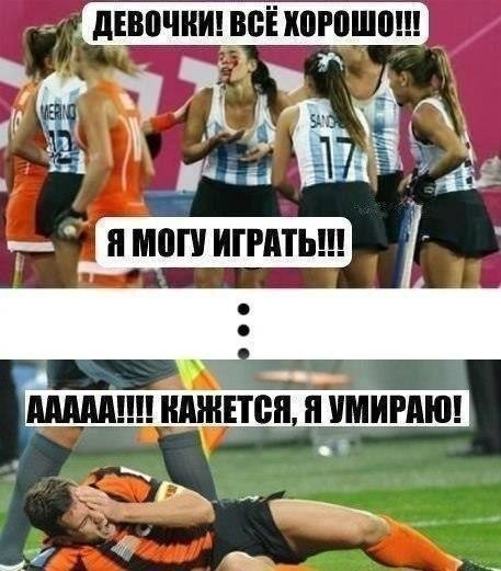 SportFeed - 3  2019  16:33