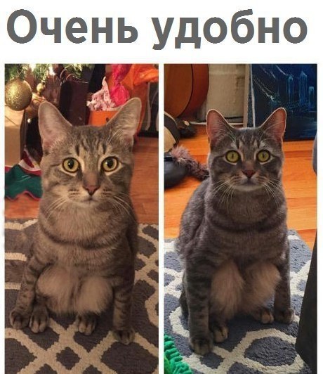  - 6  2018  16:54