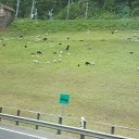  , -, 39  -  11  2018   San Gottardo/Kantone:Ticino,Uri,Zug..(Switzerland)
