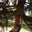 ���� �����, ������� - ��������� 1 ������� 2018 � ������ ���� ����������