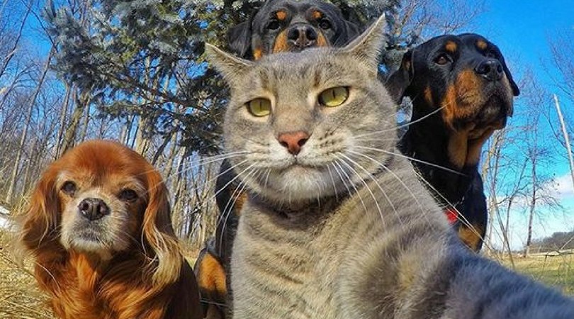  - 26  2019  15:03 - 13