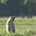 ���� ����, �����������, 50 ��� - ��������� 4 ������� 2018 � ������ ������ ���� ����� - ��������, ������� �� ������� �����