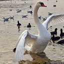 ���� Marlen, ����������� - ��������� 2 �������� 2018 � ������ ������ ��������
