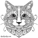 ���� ����, �����������, 24 ���� - ��������� 28 ������� 2018 � ������ ���� ����������