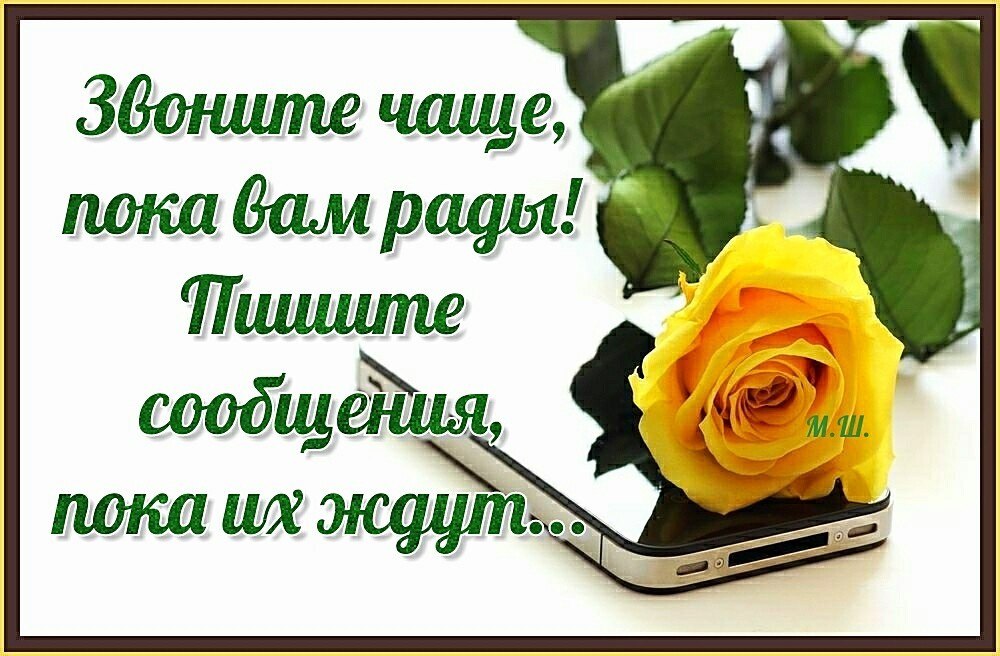 Пока звонок. Звоните чаще. Звоните чаще пока вам рады. Звоните чаще пока вам рады пишите чаще пока вас ждут. Звоните чаще пока вам рады пишите.