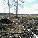 ���� ������, ������������, 55 ��� - ��������� 22 ���� 2018 � ������ ��������