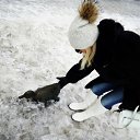 ���� ���, ������ - ��������� 4 ������� 2019 � ������ ���� ����������