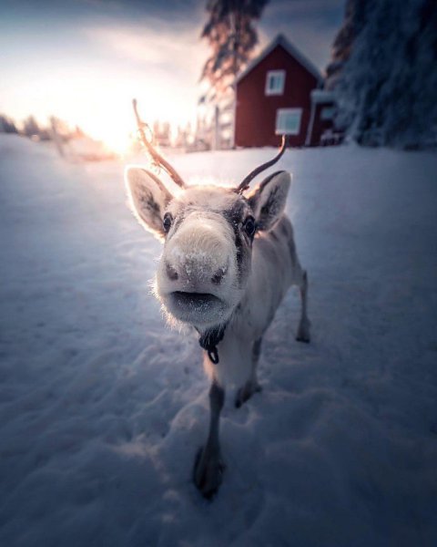 ���� � ����� - 30 ������ 2019 � 16:56