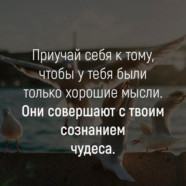 BEST | , ,  - 28  2018  16:37