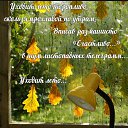 ���� �����, ������, 41 ��� - ��������� 31 ������� 2018 � ������ ������ ��������