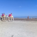 ���� �����, ����� - ��������� 28 ������� 2018 � ������ ���� ����������