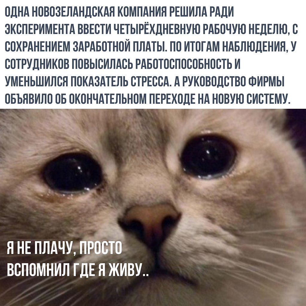    - 3  2018  16:40