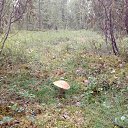 Sergei, , 43  -  30  2018    