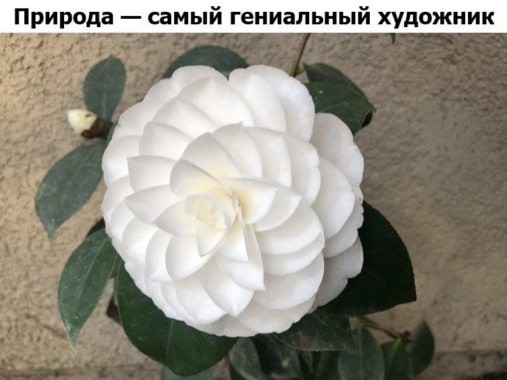   :    - 20  2019  16:41