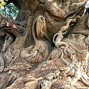  ••,  -  18  2018   - ))