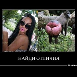 ������, ������������, 41 ���