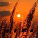  ••,  -  12  2018   