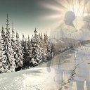 ���� ������, �����-��������� - ��������� 11 ������ 2019 � ������ ������ ��������