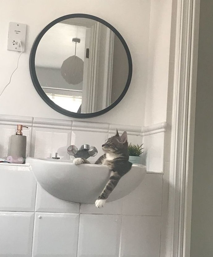  ,  ,    