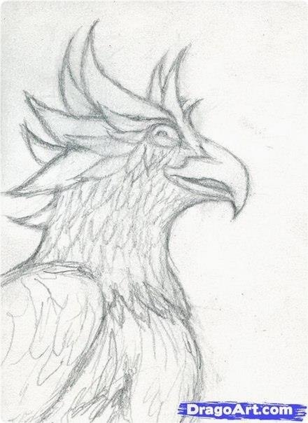 Pe oo poa po apaaa. - 3