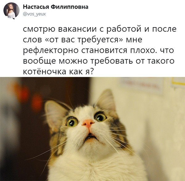   - 25  2018  16:34