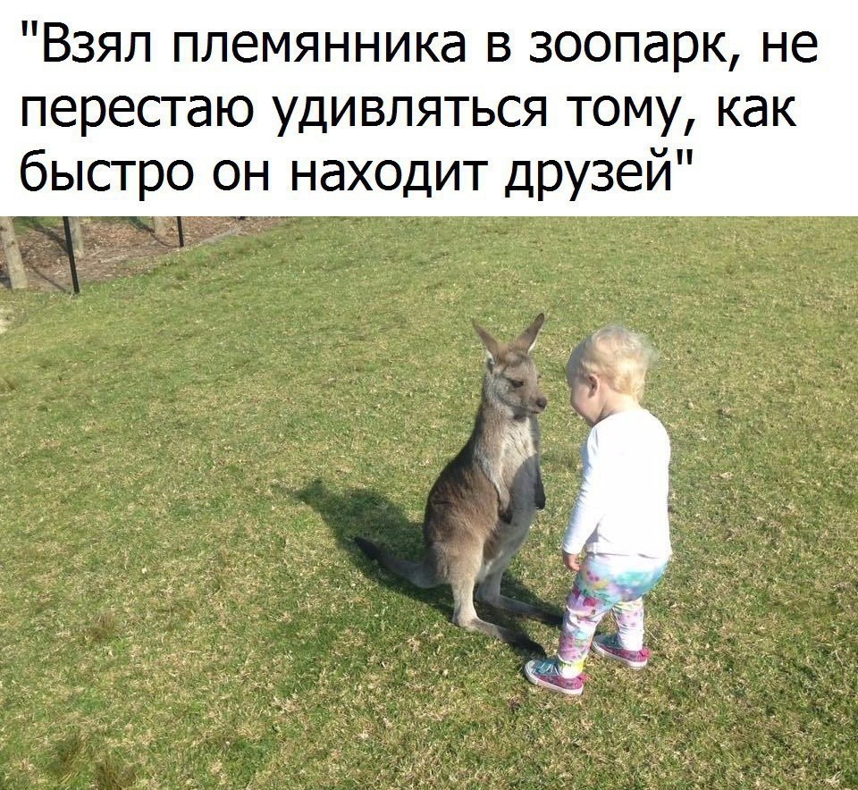  - 15  2018  16:46