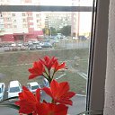 ���� *Solnce*, ������������ - ��������� 13 �������� 2018 � ������ �----�