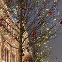 ���� ����� �������, ����������, 57 ��� - ��������� 3 ������ 2019 � ������ ���� ����������