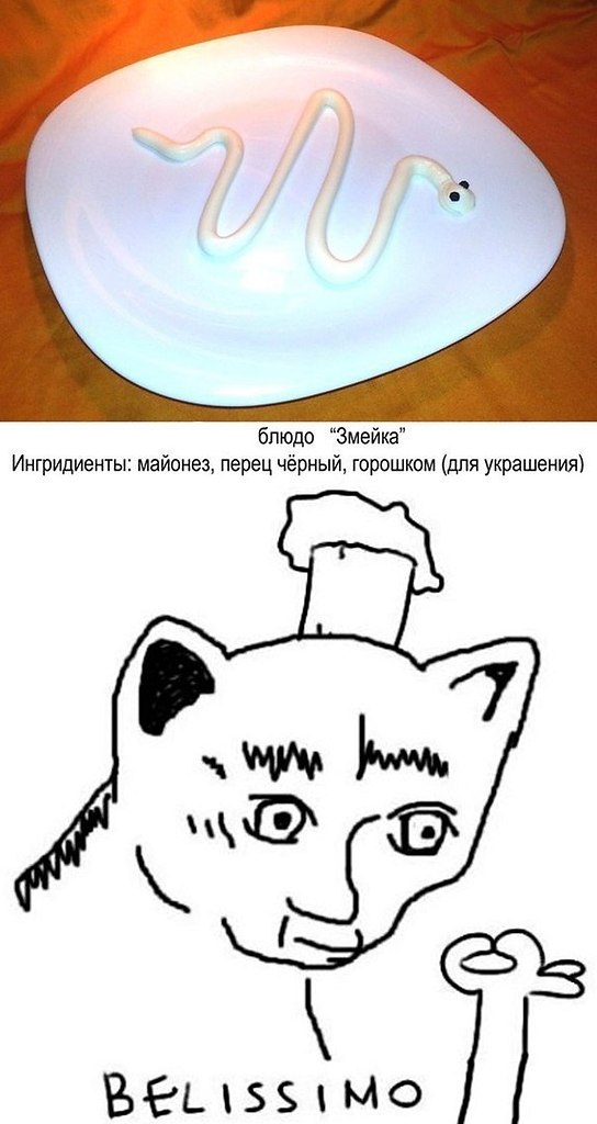 Белиссимо мем с котом