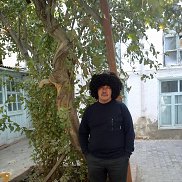 , 56 , 