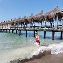  ,   -  14  2018    2018