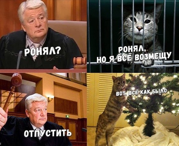 Госдума разрешила прекращать уголовные дела, если ущерб был возмещён
