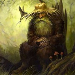 ����� �������, �������, 51 ���