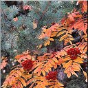 ���� Aleksa, ������, 30 ��� - ��������� 17 ������� 2018 � ������ ������ ��������