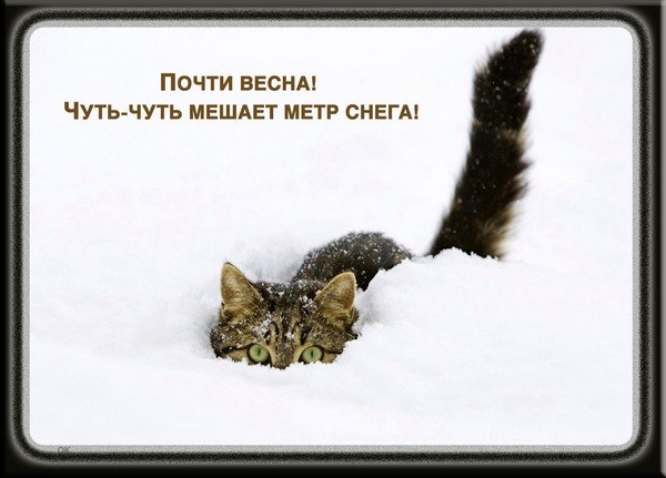   ,    . - 21  2019  19:04 - 2