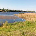 ���� ������, ������, 61 ��� - ��������� 17 ������� 2019 � ������ ���� ����������