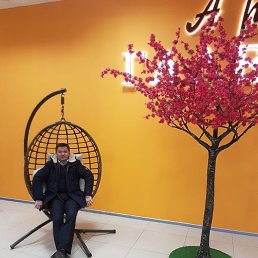 ����, ������, 47 ���