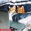  , , 59  -  28  2019        !