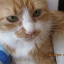 ���� ������, ���������-�������������, 59 ��� - ��������� 31 ������� 2018 � ������ ���� ����������