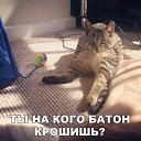 ���� ���������, ���������, 48 ��� - ��������� 17 ���� 2018 � ������ ������ ��������
