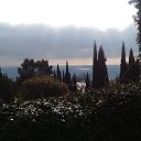 ,,25.02.19.10.50.        ,25.02.19.