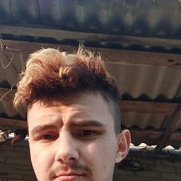 Stefan, �����, 31 ���