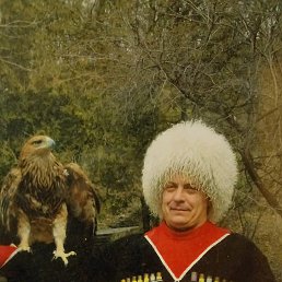 ������, �����, 65 ���