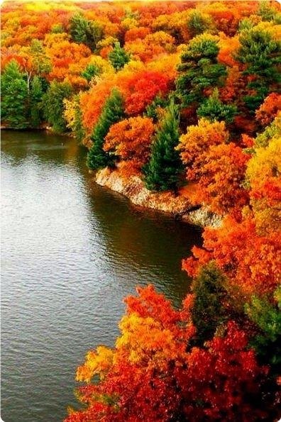 ������� | �������� | ����-����� - 8 ������ 2018 � 16:38