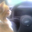 ���� Warlog, ������, 38 ��� - ��������� 1 ������ 2018 � ������ ���� ����������