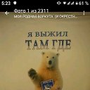 ���� ������, ������, 56 ��� - ��������� 22 ������ 2019 � ������ ���� ����������