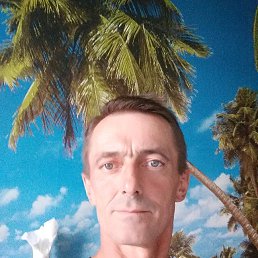 ������, ������, 55 ���