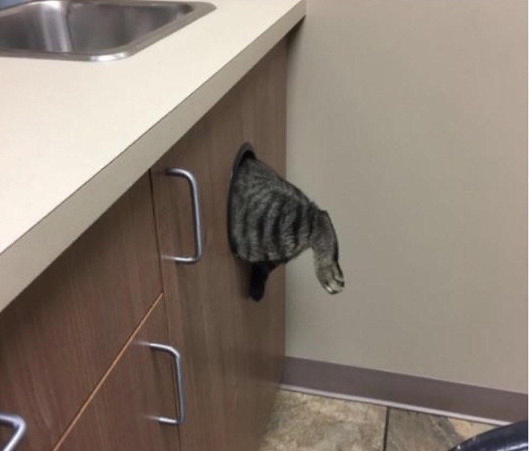 ,  ,     