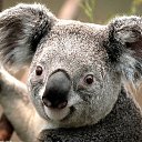 ���� Konstantin, �������, 50 ��� - ��������� 18 ������� 2019 � ������ ���� ����������