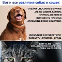  ,  -  22  2019    